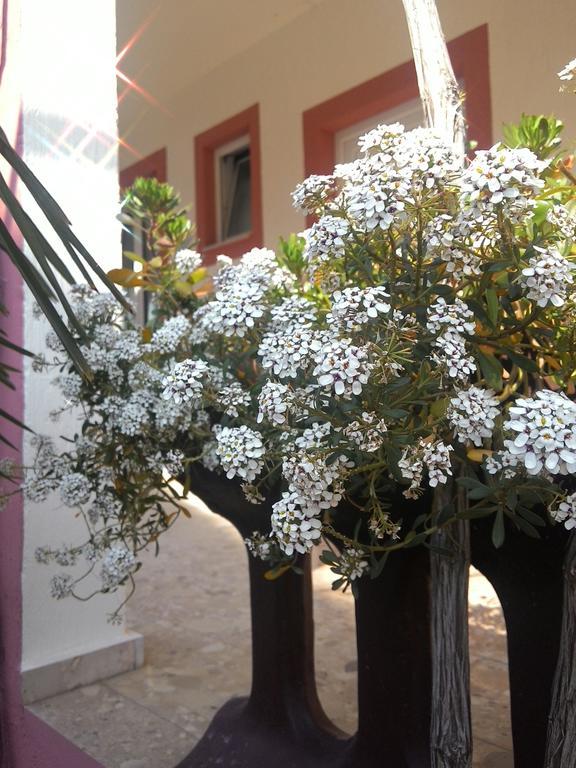 Apartments Zara Δωμάτιο φωτογραφία